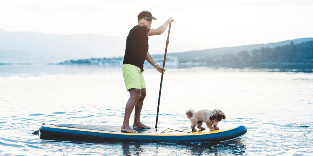 Man with his small dog on a SUP on a lake.