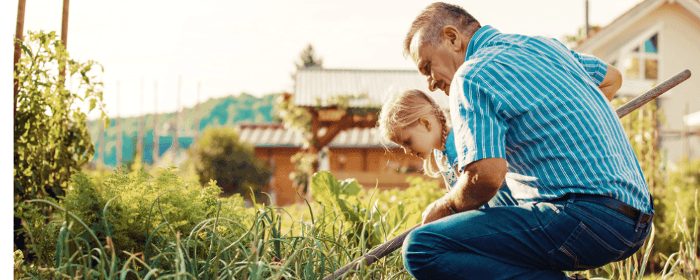 Older man outside gardening with his granddaughter.