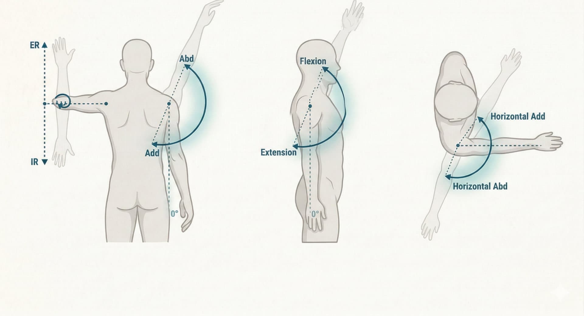 Diagram demonstrating normal shoulder range of motion including flexion, extension, abduction, and rotation, assessed during shoulder pain physical therapy